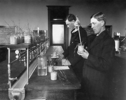 Historical recreation of Banting and Best laboratory